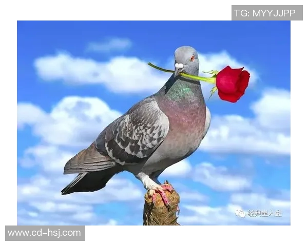 廖三宁：在音乐与人生的交汇点上追寻梦想与自由的旅程