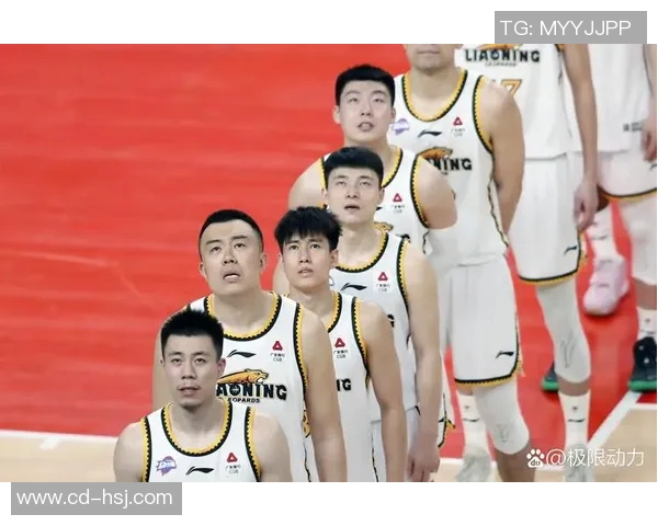 2013年CBA季后赛北京队与辽宁队激战回顾与精彩瞬间分析