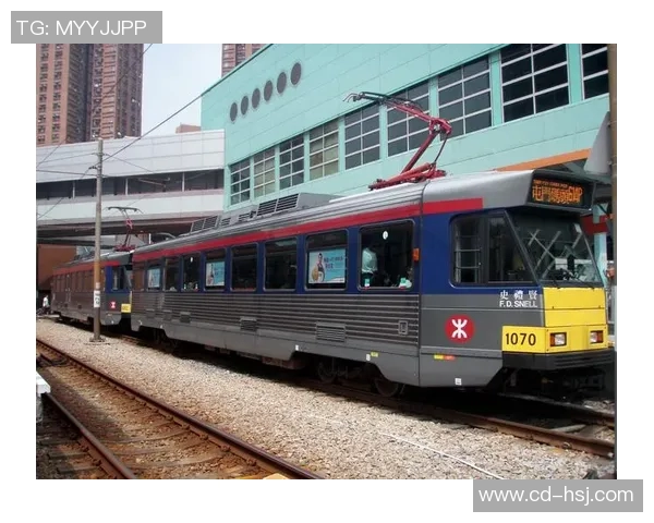 香港与北朝鲜的对比分析：政治体制经济发展与社会文化的差异探讨