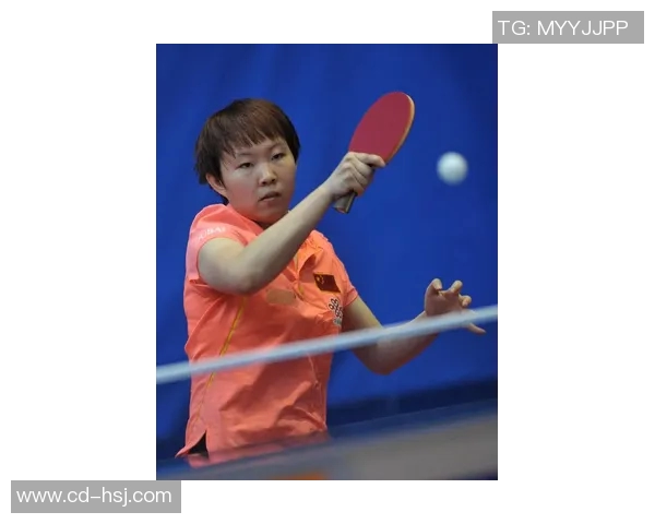 乒乓球的魅力与精神:深入解析杭州乒乓球队的团队意识与文化传承