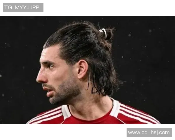 探索索博斯洛伊的历史与文化魅力，揭示其在现代社会中的重要性与影响