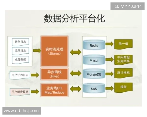 深圳攀岩队速度表现数据分析探究与提升策略研究 深圳攀岩队速度表现数据分析探究与提升策略研究