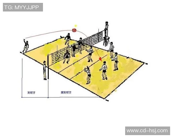 杭州排球队中路突破战术解析与实战应用探讨