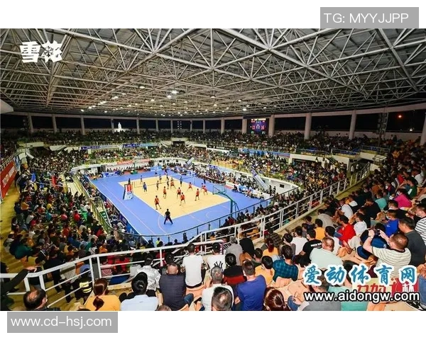 深入探讨上海排球队在各项赛事中的力量表现与数据分析结果